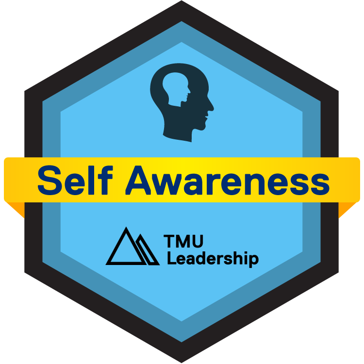 Self-Awareness Badge: Level Up Program