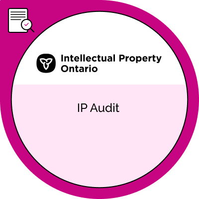 Advanced IP: IP Audit
