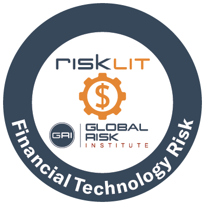 FinTech and the Risk of Digital Transformation 