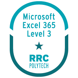 Microsoft Excel 365 Level 3