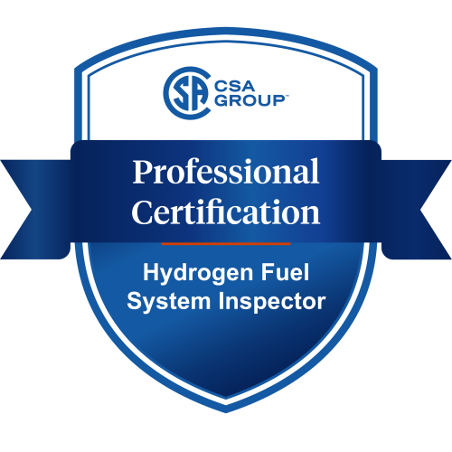 Hydrogen Fuel System Inspector 