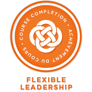 Flexible Leadership