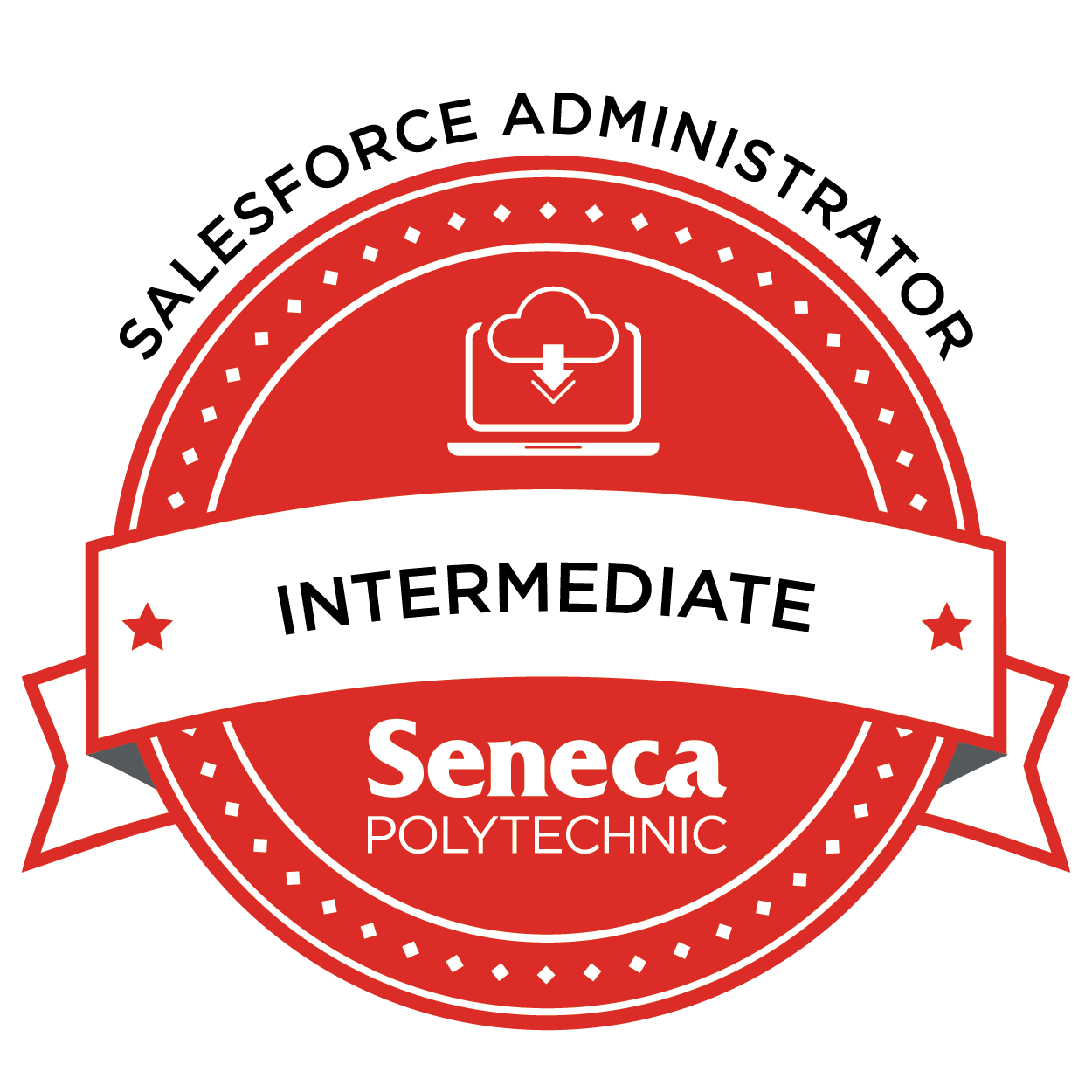 Salesforce Administrator - Intermediate 