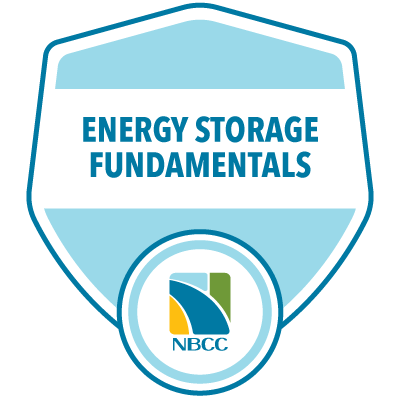Energy Storage Fundamentals