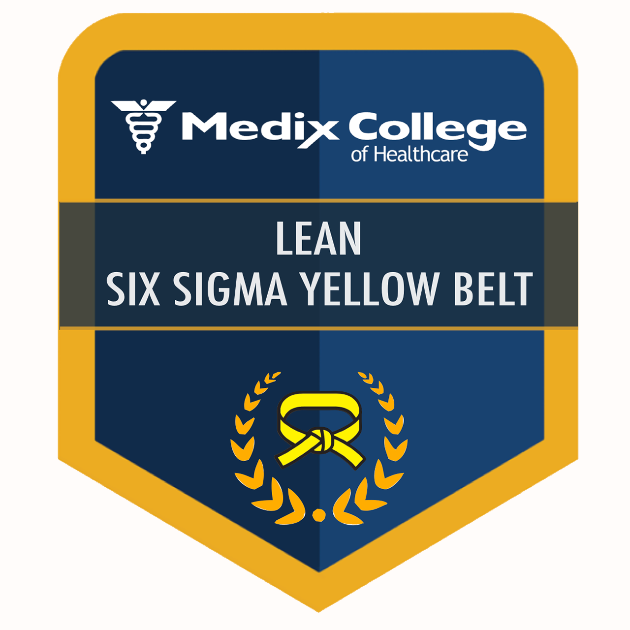 Lean Six Sigma – Yellow Belt Certificate