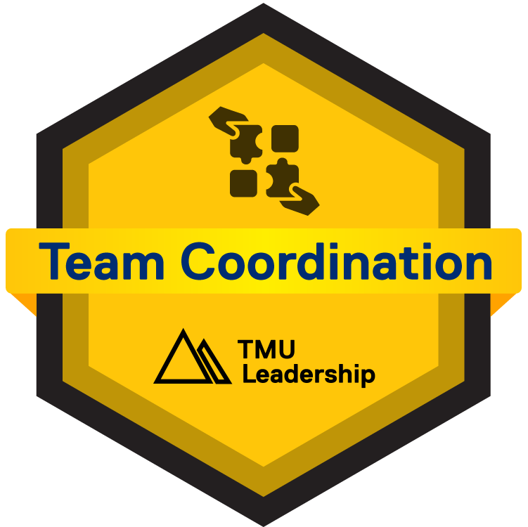 Team Coordination Badge: Level Up Program