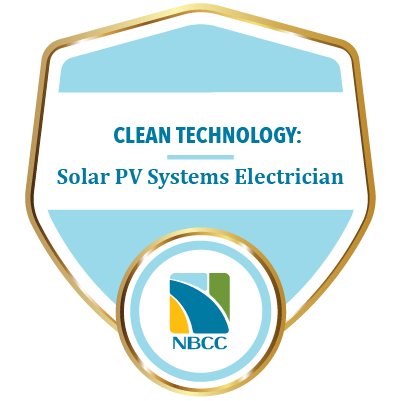 Solar PV Systems Electrician