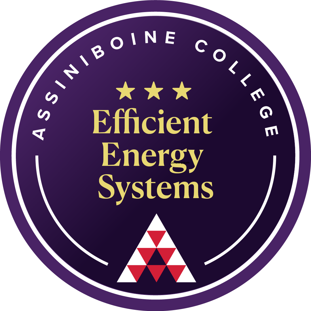 Efficient Energy Systems