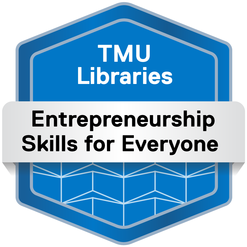 Entrepreneurship Skills 